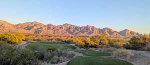 Oro Valley, AZ Metamorphosis Class