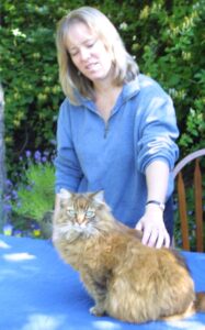 Metamorphosis on animals with Cindy Silverlock